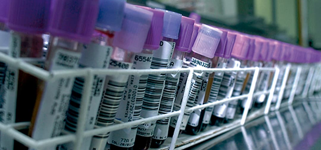 Capa Patologia Clínica Veterinária