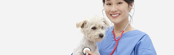 Capa Cardiologia Veterinária