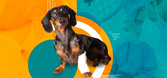 Capa Abc do Trauma Prático