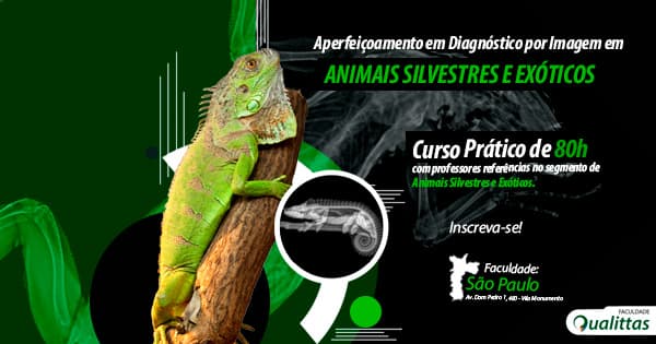 Capa Aperfeiçoamento em Diagnóstico por Imagem em Animais Silvestres e Exóticos